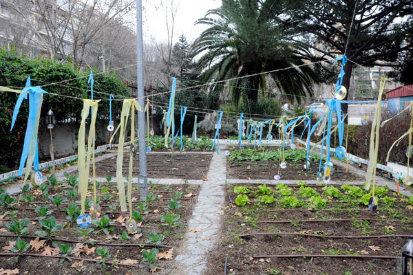 M Stoles Da Un Primer Paso En La Creaci N De La Red De Huertos Urbanos