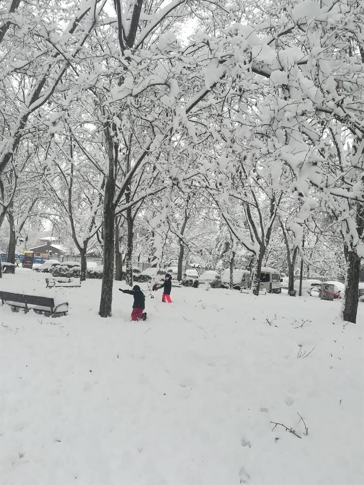 Alcalá de Henares la gran nevada