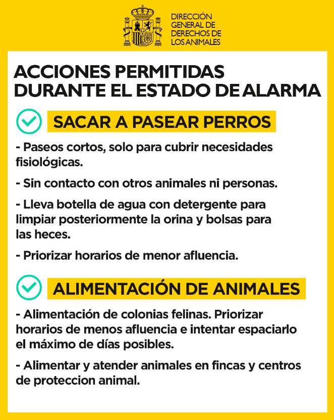 Pasear perros en estado de alarma