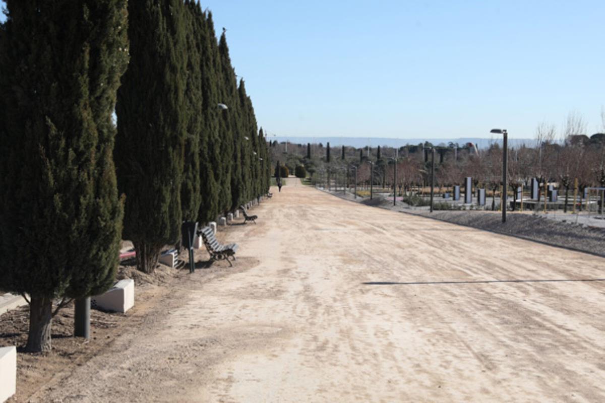 Medida del ayuntamiento contra el ruido y la contaminación 
