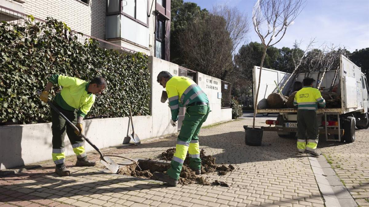 La campaña concluirá estos días con los ajardinamientos de los nuevos caminos del Metropolitan Park