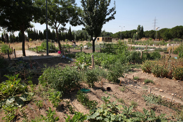 El objetivo de esta iniciativa es concienciar a los jóvenes de la importancia que tiene la alimentación saludable