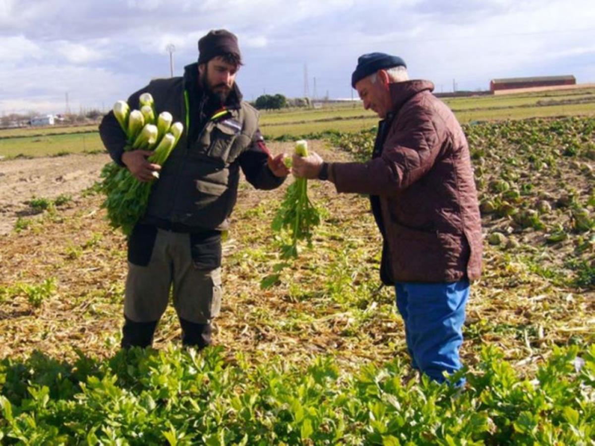 Fuenlabrada ha sido premiado por la Fundación de Estudios Rurales