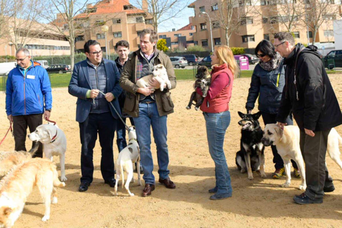 Nuestro municipio, con motivo de la entrada en vigor de la ley de sacrifico cero, alienta a los boadillenses a acoger animales abandonados