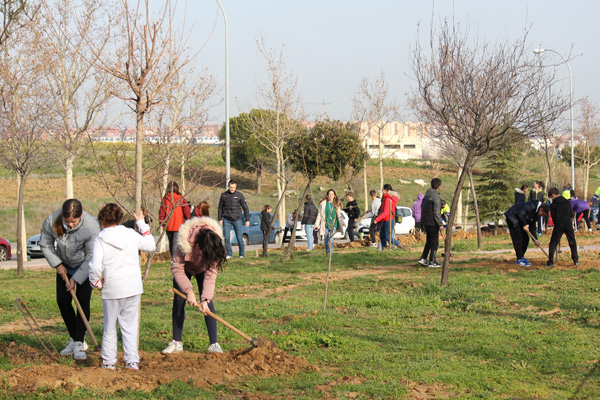 Un total de 250 escolares han participado en esta actividad