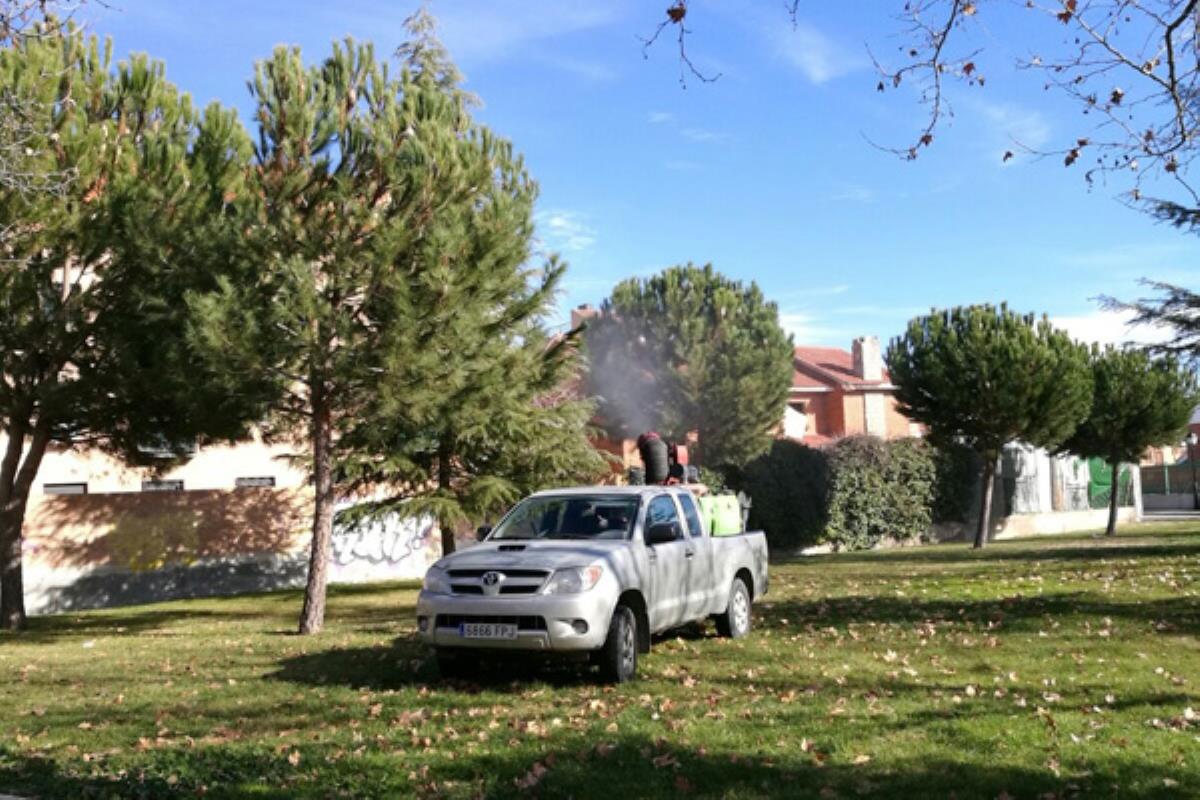 Esta Campaña de fumigación se realiza todos los años para evitar la procesionaria, en pinos, y la galeruca, en olmos