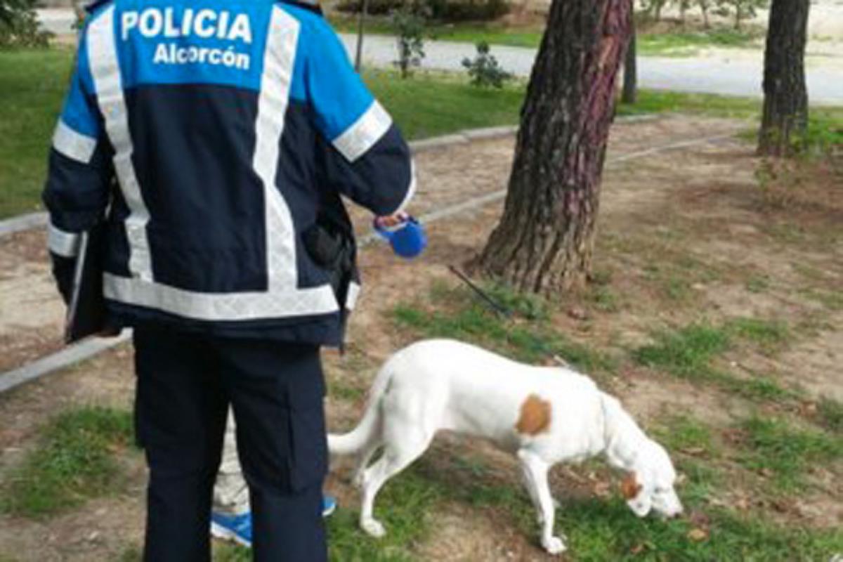 Los agentes han realizado acciones informativas durante todo el periodo que ha durado la campaña