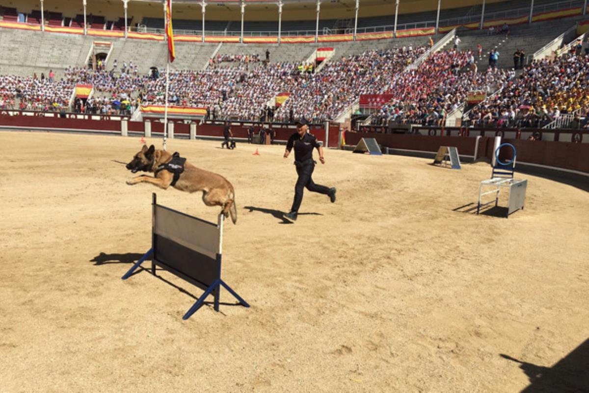 La Plaza de Toros de las Ventas acogió la VIII Edición de la
Exhibición de Unidades, a la que acudieron miles de niños
