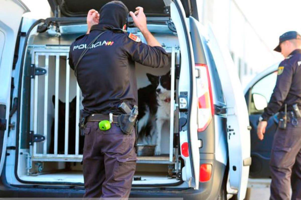 Las zonas industriales de municipios de Parla, Móstoles y Fuenlabrada se han visto afectadas por este despliegue policial