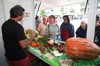 Tendrá lugar en la Plaza de la Constitución los días 1 y 2 de octubre