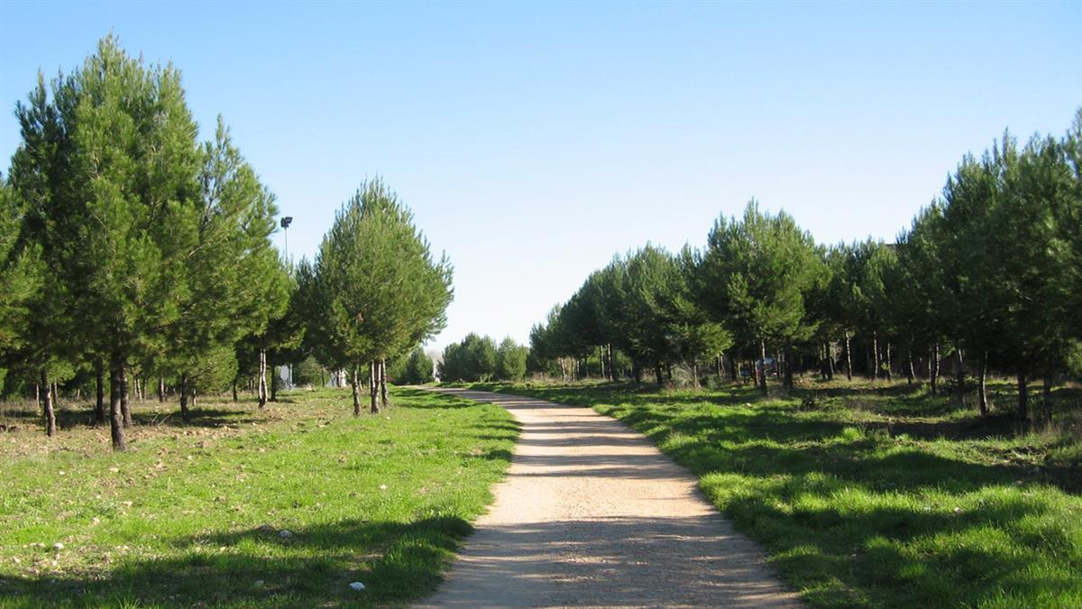 La Concejalía de Medio Ambiente busca mejorar la accesibilidad de estos espacios verdes