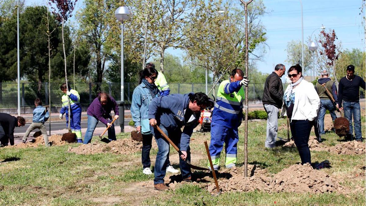 Meco organiza una plantación familiar