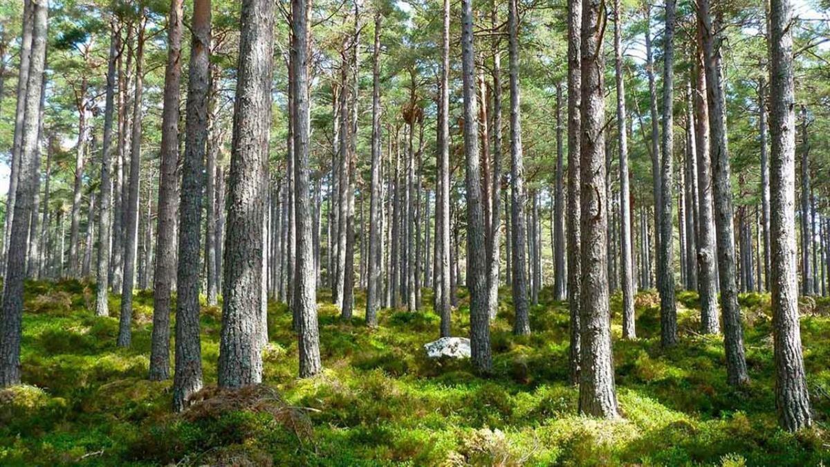 Se han organizado distintos talleres dedicados a los ecosistemas de la ciudad