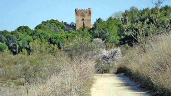 Conciertos, excursiones y literatura en la agenda cultural