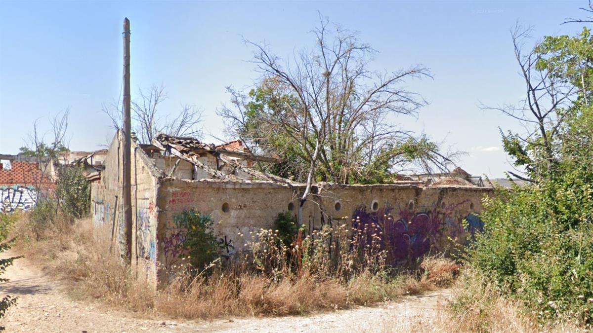 Vecinos de Alcalá reprochan el nuevo bosque de Torrejón en terreno complutense