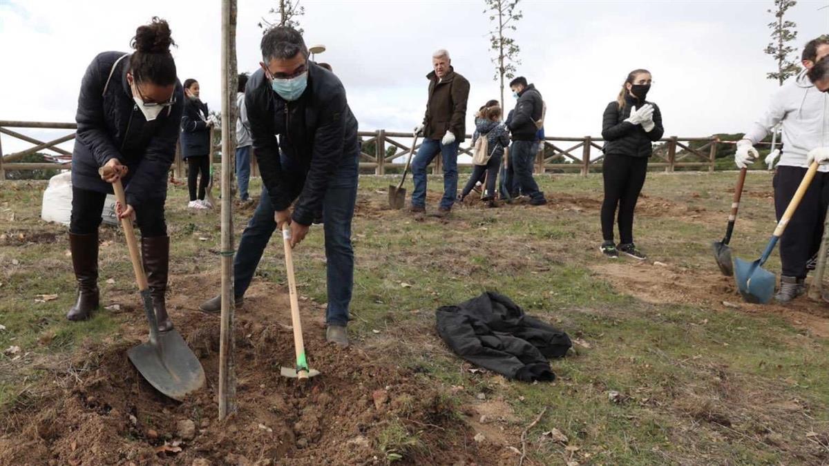 La concejal de Medioambiente se comprometió a alcanzar esta cifra en una entrevista con Soy de 