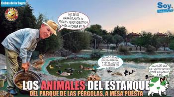 La empresa que gestiona las colonias felinas es la que se va a encargar de alimentar a los patos y las tortugas