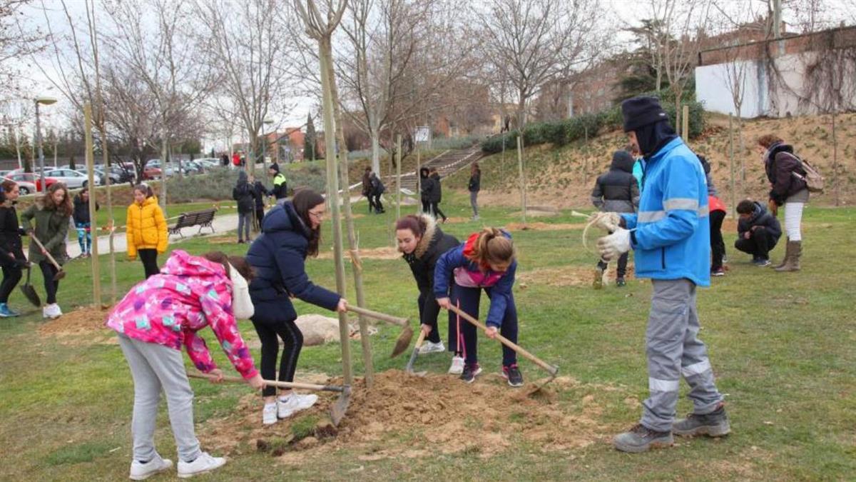 Programa que quiere acercar la educación medioambiental a los contenidos transversales del currículum educativo