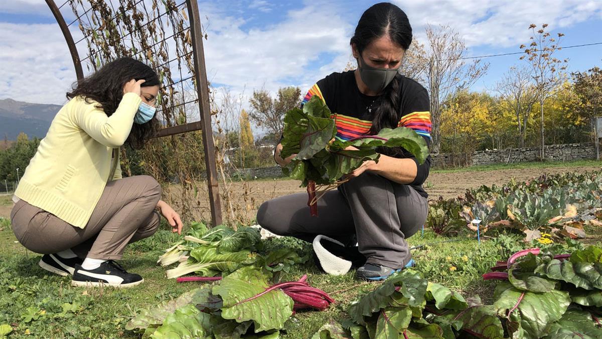 Está dirigido a personas interesadas en formarse y desarrollar una actividad agraria como alternativa de generación de empleo y emprendimiento