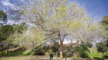 En la localidad habitan más de 120.000 ejemplares 