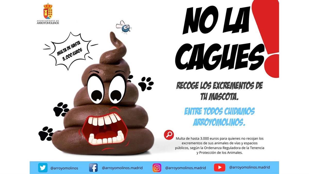 No recoger los excrementos de las mascotas puede costar 3.000 euros