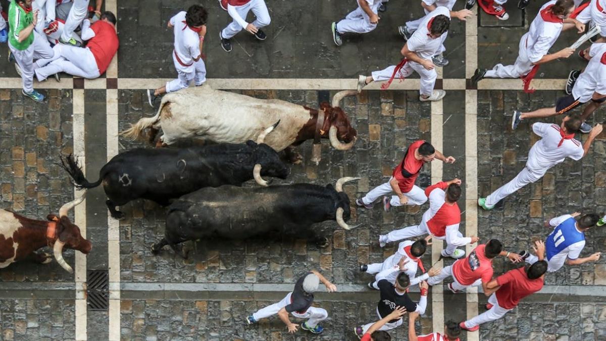 Encierros, concursos de recortes y novilladas para las fiestas de la ciudad