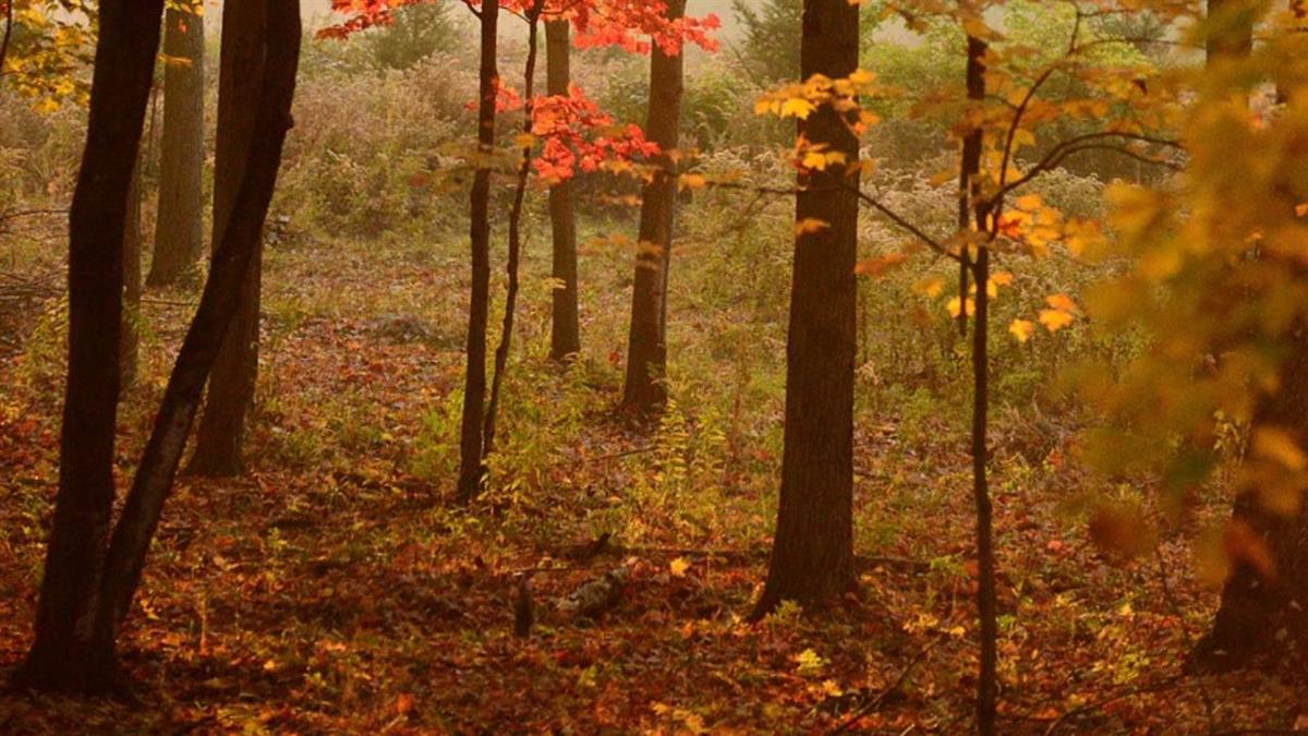 Aún quedan plazas para las propuestas del programa “Aula de Ocio y Naturaleza”