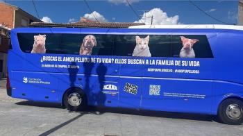 El 4 y el 5 de septiembre los vecinos de ambas localidades pudieron conocer a algunos de los perros y gatos para adoptar