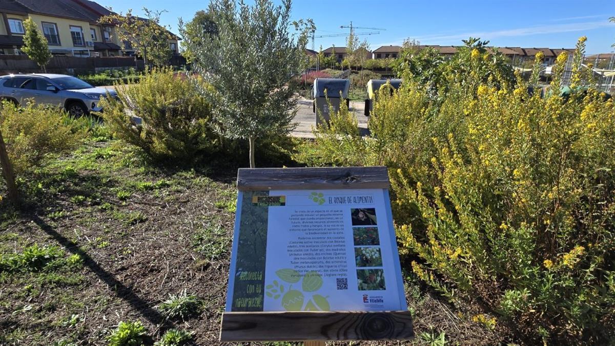 Este premio está organizado por la ONG Bosques Sin Fronteras