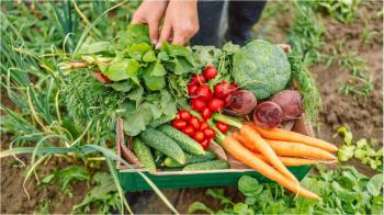 La Comunidad de Madrid exhibe en BioCultura 2024 su oferta de alimentos ecológicos con actividades, catas y talleres familiares