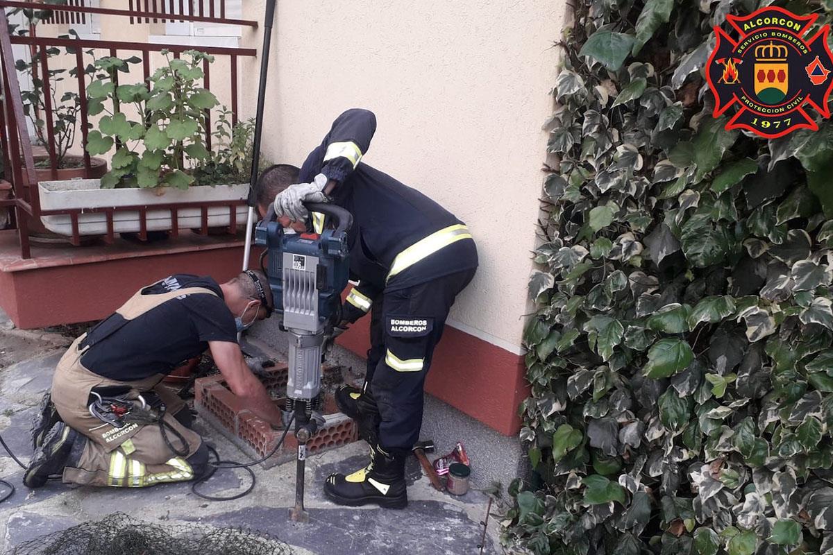 Los bomberos han realizado una vía de salida picando en el forjado un pequeño túnel para facilitar la salida de los gatos y su salvamento