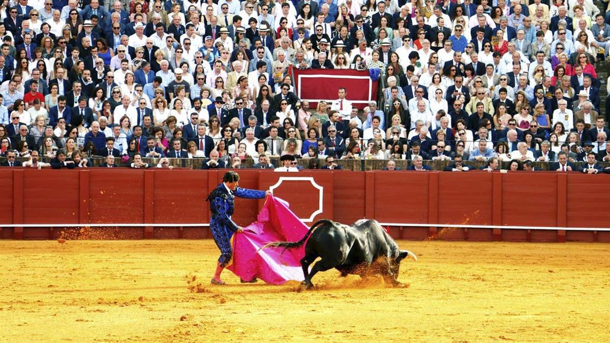 Los asistentes podrán ver las reses de la novillada y de los recortes, dos del Ayuntamiento y los sobreros