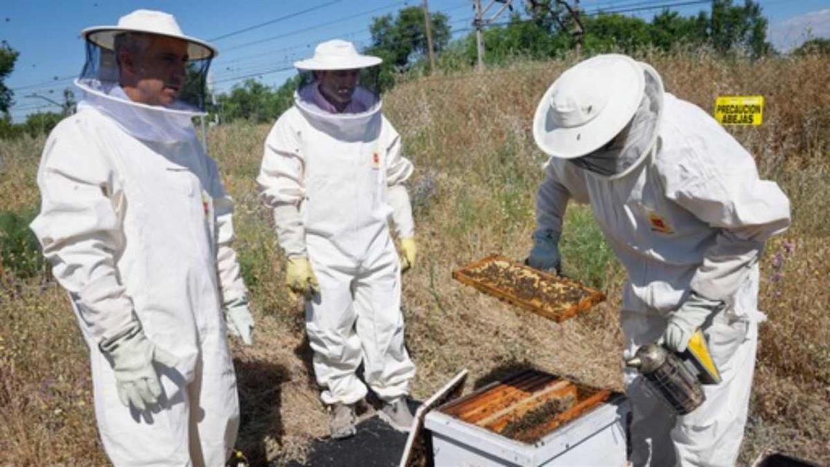 Estos animales son fundamentales para el correcto funcionamiento del ecosistema 