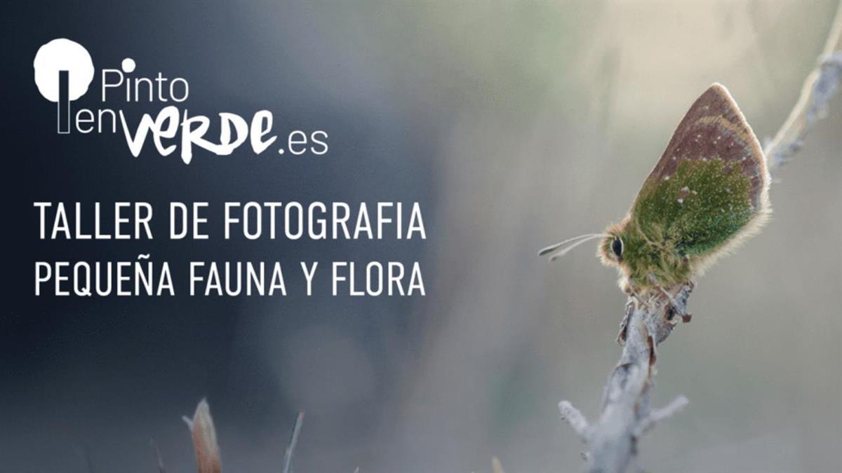 Participa en el taller de fotografía los días 22 y 24 de mayo