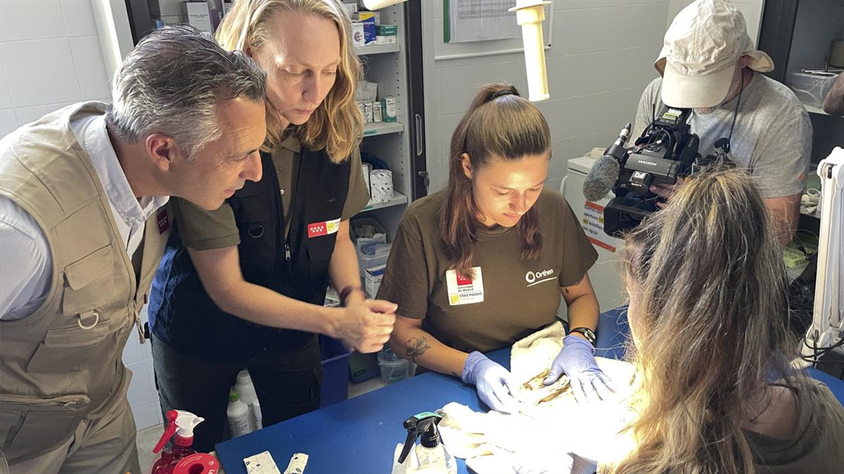 Un santuario para la fauna autóctona protegida