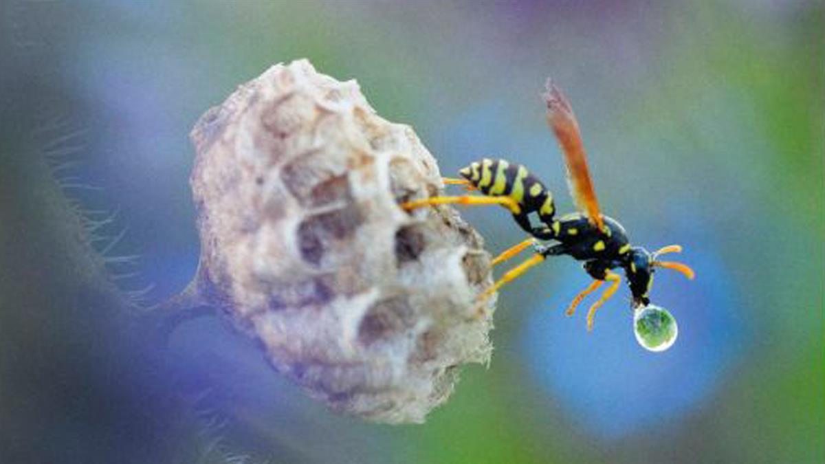 La ciudad acoge el Certamen Nacional de fotografía FOTCIENCIA 19