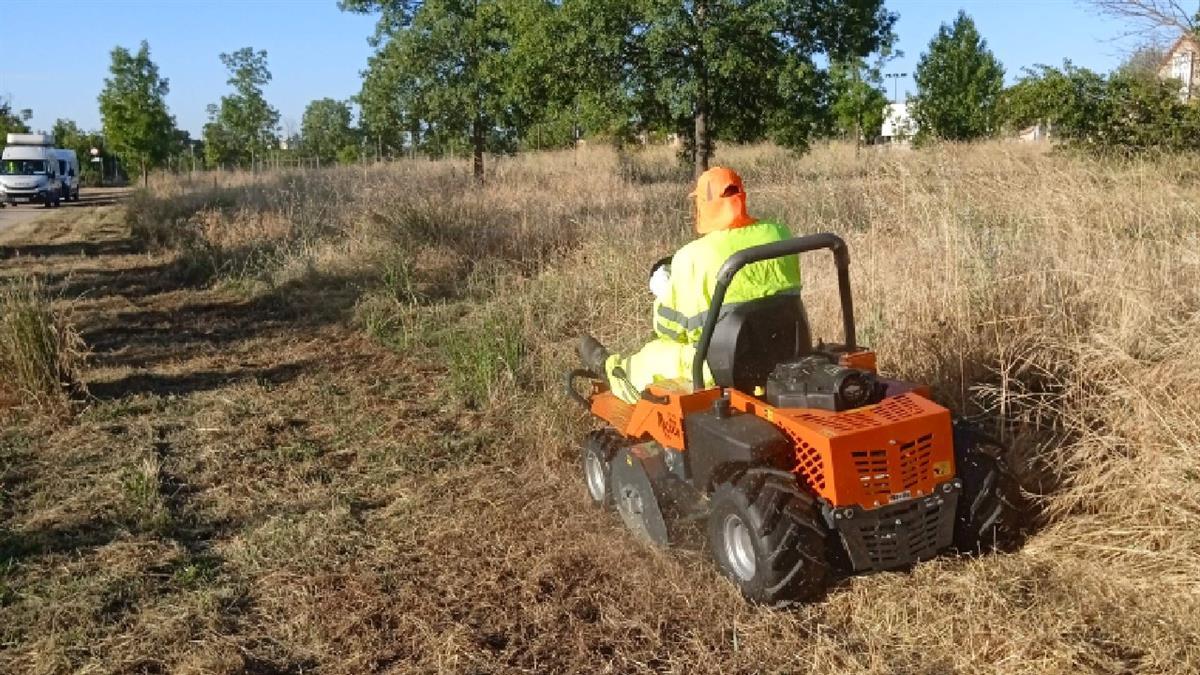 El Área de Medio Ambiente ha puesto en marcha actuaciones de “estrategia ecológica” 