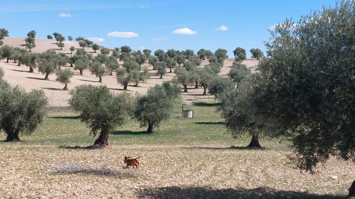 La Comunidad de Madrid destinó casi 4,5 millones en 2022