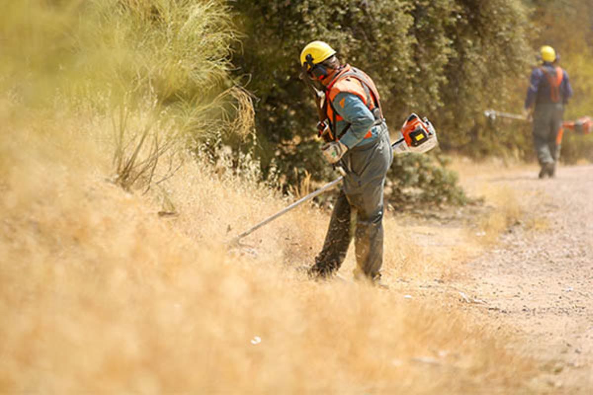 La época considerada "de alto riesgo" comienza a mediados de junio