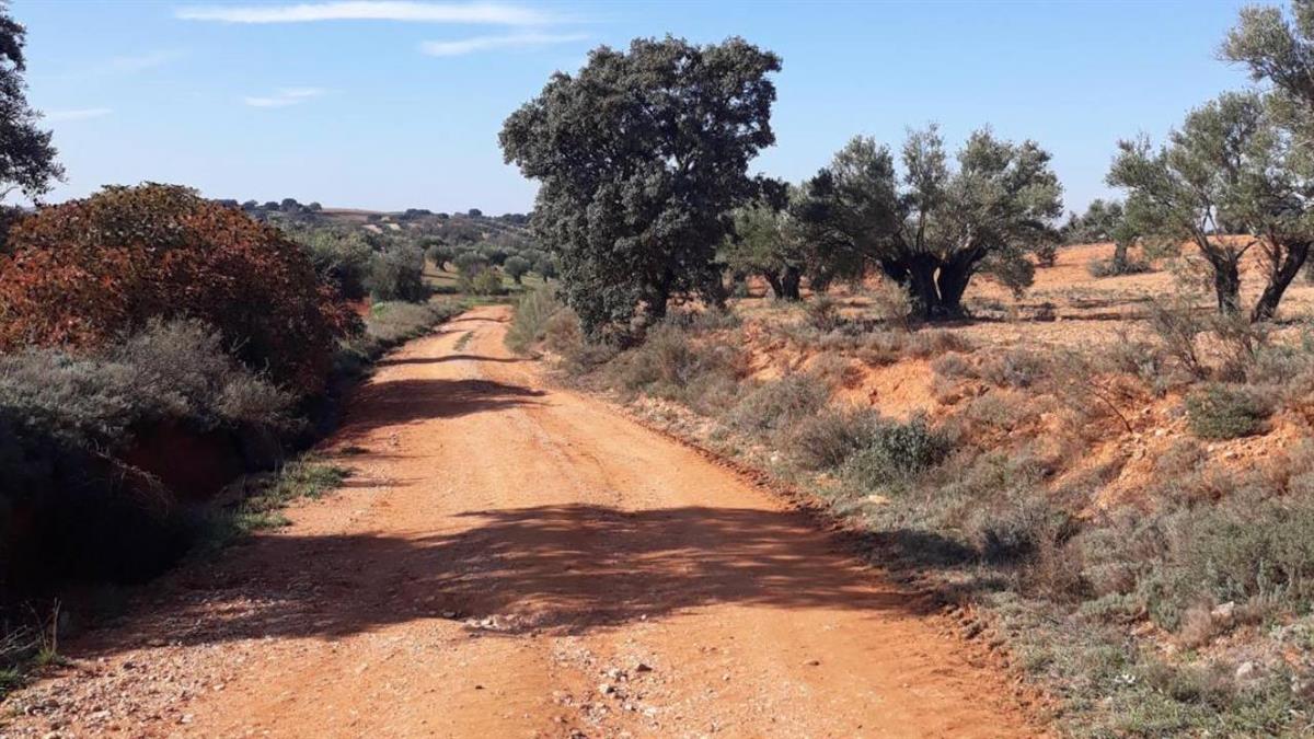 Se han arreglado casi 90 kilómetros gracias al plan de ayudas para el mantenimiento de estas vías