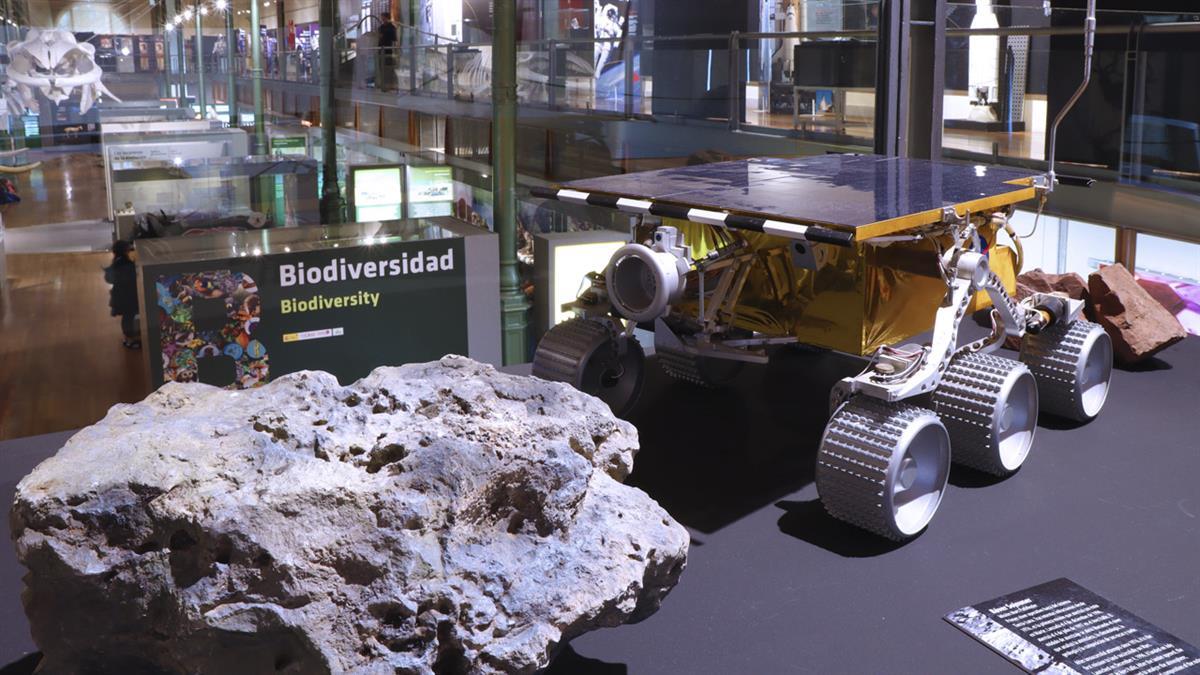 Visita esta exposición en el Museo Nacional de Ciencias Naturales