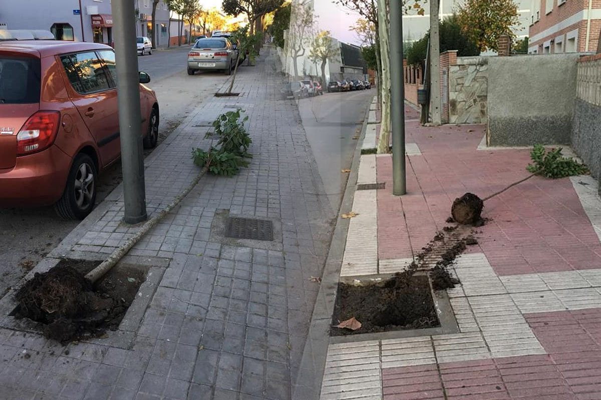 La Policía Local denuncia un acto vandálico