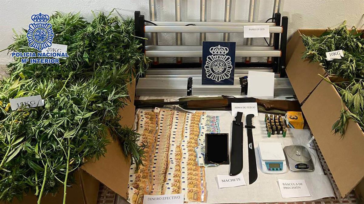 La Policía Nacional ha desmantealado cuatro cultivos de marihuana con casi 900 plantas