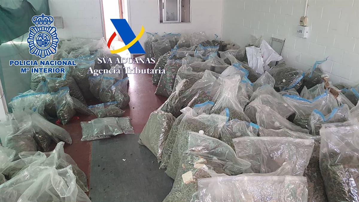 La operación se salda con seis detenidos, 1.100 plantas y 50 gramos de cocaína