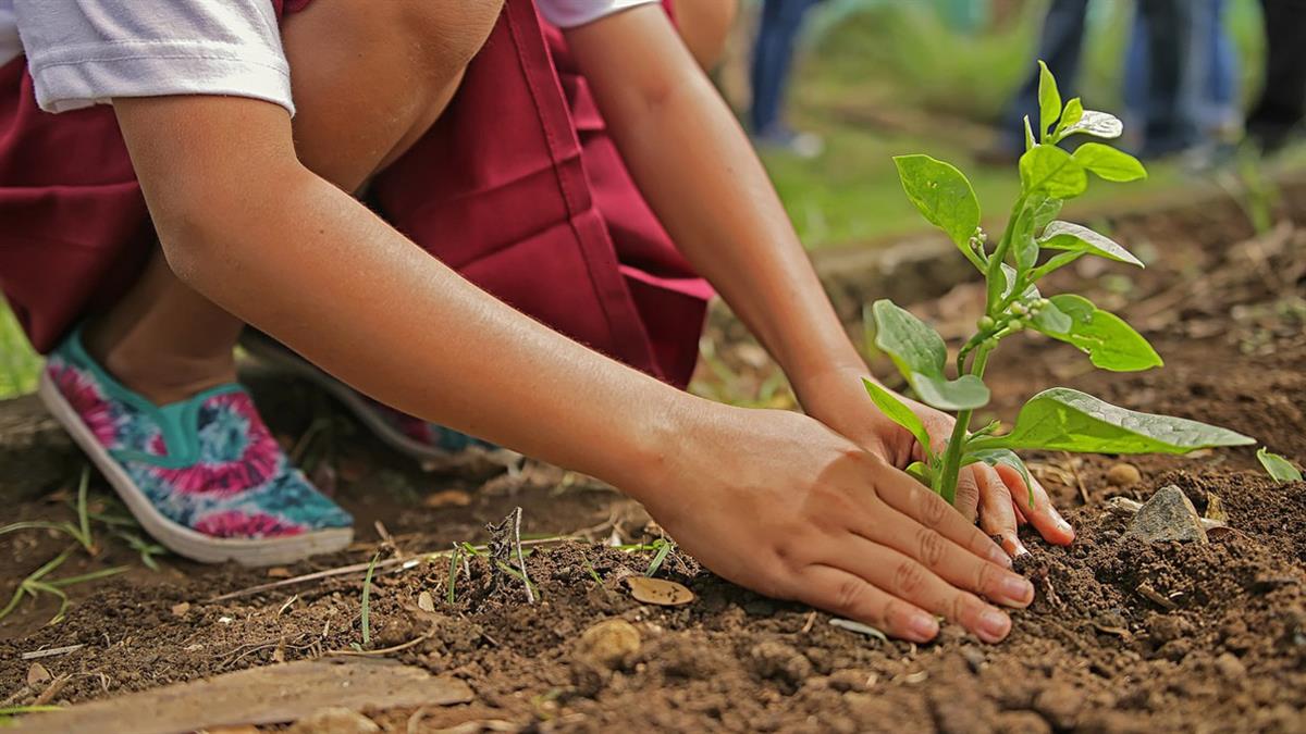 Se llevarán a cabo plantaciones, talleres y un espectáculo de títeres