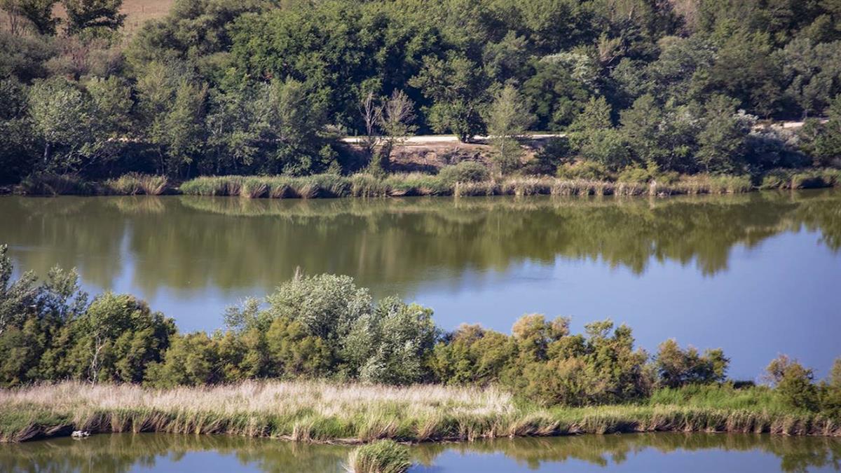 Este evento tendrá lugar en la laguna de El Campillo