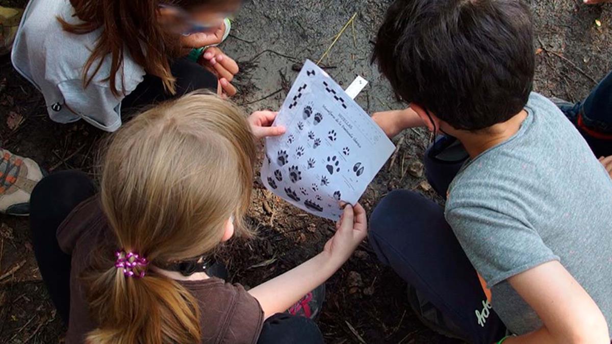 Con diversas actividades que ponen el foco en el conocimiento y cuidado de nuestro entorno