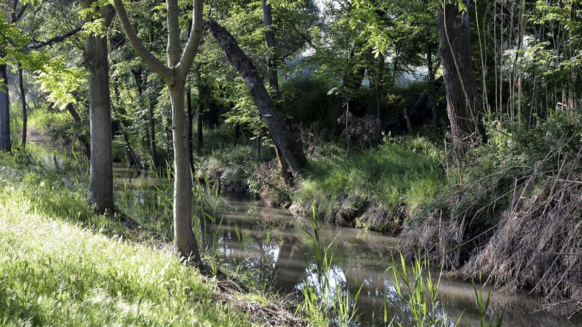 Con rutas medioambientales y talleres sobre la tenencia responsable de animales