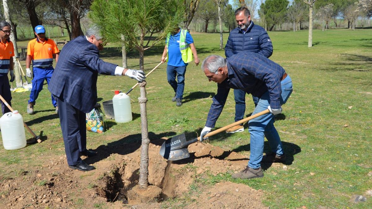 El Gobierno invierte casi un millón de euros en reforestar la región