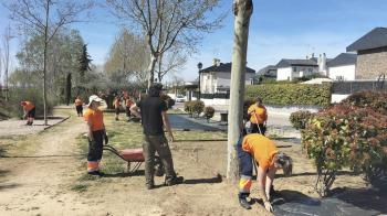 Las zonas se han rediseñado para llevar a cabo la plantación de multitud de especies